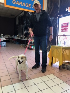 Woodlands Animal Rescue